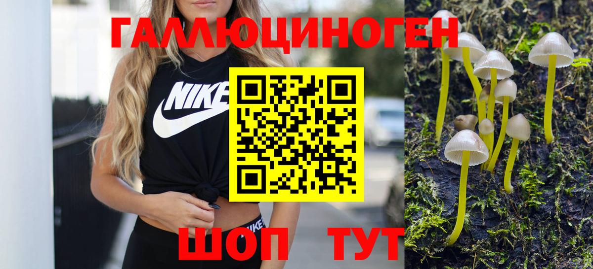 Галлюциногенные грибы Psilocybe Красный Сулин
